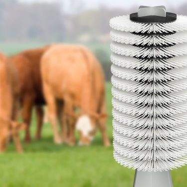 Cow brushes 1